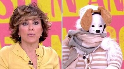 Los 'therian' invaden la televisión: Así han sido sus apariciones en algunos magacines