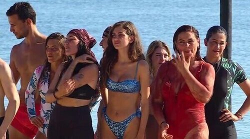 'Supervivientes' (19,4%) se mantiene fuerte y 'Perdiendo el juicio' crece a un 11%