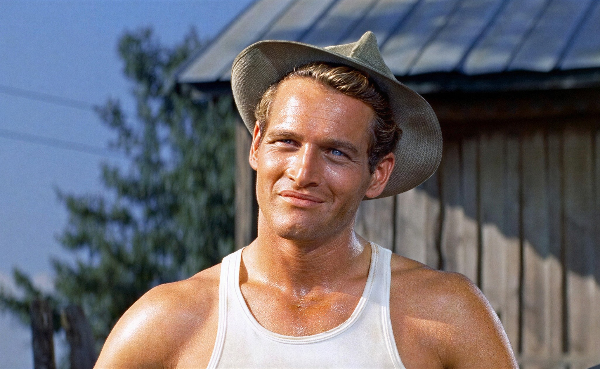 Paul Newman en "El largo y cálido verano"