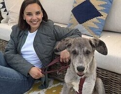 'En tierra lejana' en Antena 3 y 'Dog House' en La 1 se reparten la noche del martes