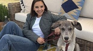 'En tierra lejana' en Antena 3 y 'Dog House' en La 1 se reparten la noche del martes