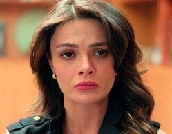 'En tierra lejana' en Antena 3 sube a un 11,8% y lidera frente a 'Dog House' en La 1