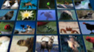 Vértice Sales vende la serie documental 'Mundos de agua' a Japón y Corea