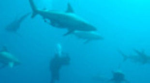 National Geographic Channel celebra el Día de la Tierra con un especial sobre los océanos