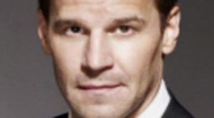 David Boreanaz de 'Bones', demandado por acoso sexual