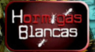 'Hormigas blancas' arrasa tras el final de 'Alfonso, el príncipe maldito'