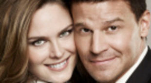 Fox prepara un spin-off de 'Bones'