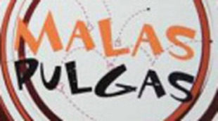 Cuatro retira 'The closer' y programa en su lugar reposiciones de 'Malas pulgas'