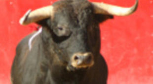 Los toros no volverán a RTVE