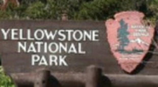 'Yellowstone', la serie documental sobre el parque nacional más antiguo del mundo llega a La 1