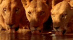 El documental "Tierra, la película de nuestro planeta", el domingo en La 2