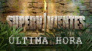 'Supervivientes: Última hora' (20%) frena y gana al concurso '¡Ahora caigo!' (12,3%)