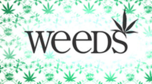 Renovación sorpresa de 'Weeds' para una octava temporada