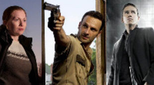 'The Killing' se emitirá detrás de 'The Walking Dead' y 'Vigilados. Person of interest'