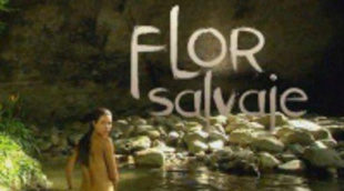 La telenovela 'Flor Salvaje' llega a la sobremesa de Nova