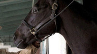 'Luck' paraliza la grabación con caballos tras tres muertes