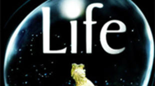 El canal Odisea estrena 'Life', la magnífica serie documental de BBC