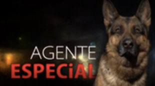 Telemadrid renueva el espacio 'Agente especial' por una segunda temporada