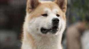 'El Peliculón' (16,9%) lidera la noche del sábado mientras 'El Gran Debate' (15,2%) empeora y 'laSexta Noche' (6%) mejora