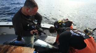 National Geographic Channel estrena la segunda temporada de 'Pesca extrema: Batalla en el Atlántico'