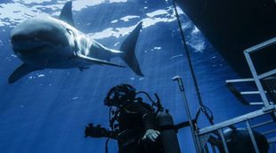 Discovery Max mostrará los animales más peligrosos de mares y lagos en 'Nadando entre monstruos'