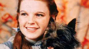 'Dorothy debe morir', una posible nueva adaptación de "El mago de Oz"