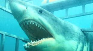 Cuatro películas de tiburones en "Sharkturday", el nuevo evento cinematográfico de Cuatro