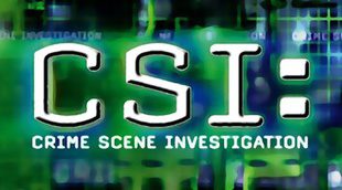 'CSI' tendrá un nuevo spin off centrado en los crímenes cibernéticos