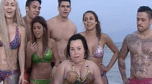 'Velvet' (21,5%) sube y mantiene su liderazgo frente al estreno de 'Supervivientes 2014' (21,4%)