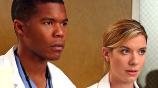 Tessa Ferrer y Gaius Charles abandonan 'Anatomía de Grey'