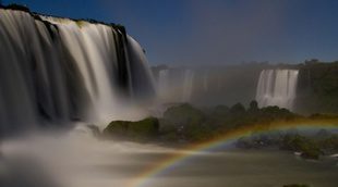 'Destination Wild' mostrará desde este martes la cara más salvaje de Brasil en Nat Geo Wild