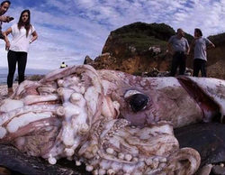 'Devorahombres' registra un estupendo 2,9% en la noche de Discovery MAX