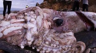 'Devorahombres' registra un estupendo 2,9% en la noche de Discovery MAX