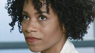 'Grey's Anatomy' 11x02 Recap: "Puzzle With a Piece Missing"