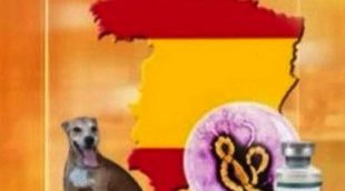La televisión alemana informa del ébola en España con un mapa sin Catalunya