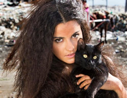 Nova estrena 'La gata', la nueva telenovela de Maite Perroni (RBD), el 10 de noviembre