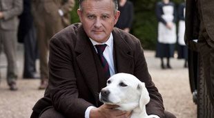 La perra Isis de 'Downton Abbey', desafortunada tocaya de una organización terrorista