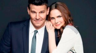 'Bones' y 'The Taste' anotan mínimo histórico y 'Gracepoint' se despide sin cambios