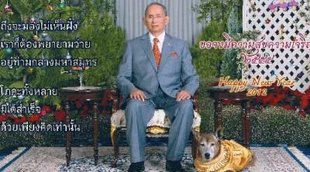 Lo absurdo de las leyes tailandesas: Un ciudadano podría ser condenado a 15 años de cárcel por criticar al perro del Rey