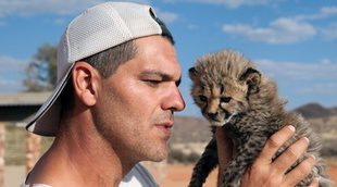 Frank Cuesta recibe un zarpazo de un leopardo durante la grabación de 'Wild Frank'