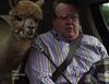 'Modern Family' 6x11: "The Day We Almost Died"