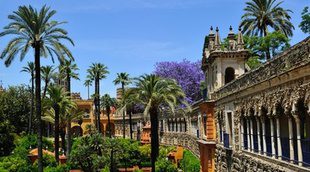 Canal+ preestrenará la quinta temporada de 'Juego de Tronos' en el Real Alcázar de Sevilla