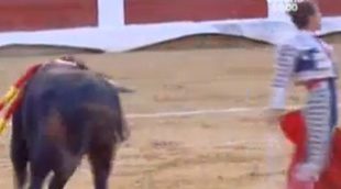 Guerra por la emisión de los toros en TVE: "Mis hijos hoy no pueden ver La 1 porque hay tortura y asesinato en directo"