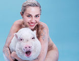 Miley Cyrus posa desnuda con su cerda y confiesa que es bisexual