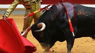 RTP1, la televisión pública portuguesa consigue gran éxito con la emisión de los toros