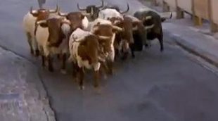 El programa 'Vive San Fermín' pierde a primera hora 2 puntos y se queda con un 3,8% en 24 Horas