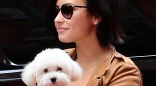 Demi Lovato, devastada tras la muerte de su perro Buddy