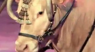 '¡Vaya fauna!' (12,6%) mejora ligeramente, pero sigue con datos discretos y superado por 'Forever' (13,1%, 14,1% y 17,1%)