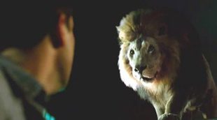 'Zoo' cierra su primera temporada con un 8,1% gracias, en parte, a su emisión en late night