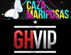 'Cazamariposas' prepara una sección para elegir candidatos para 'Gran Hermano VIP 4'